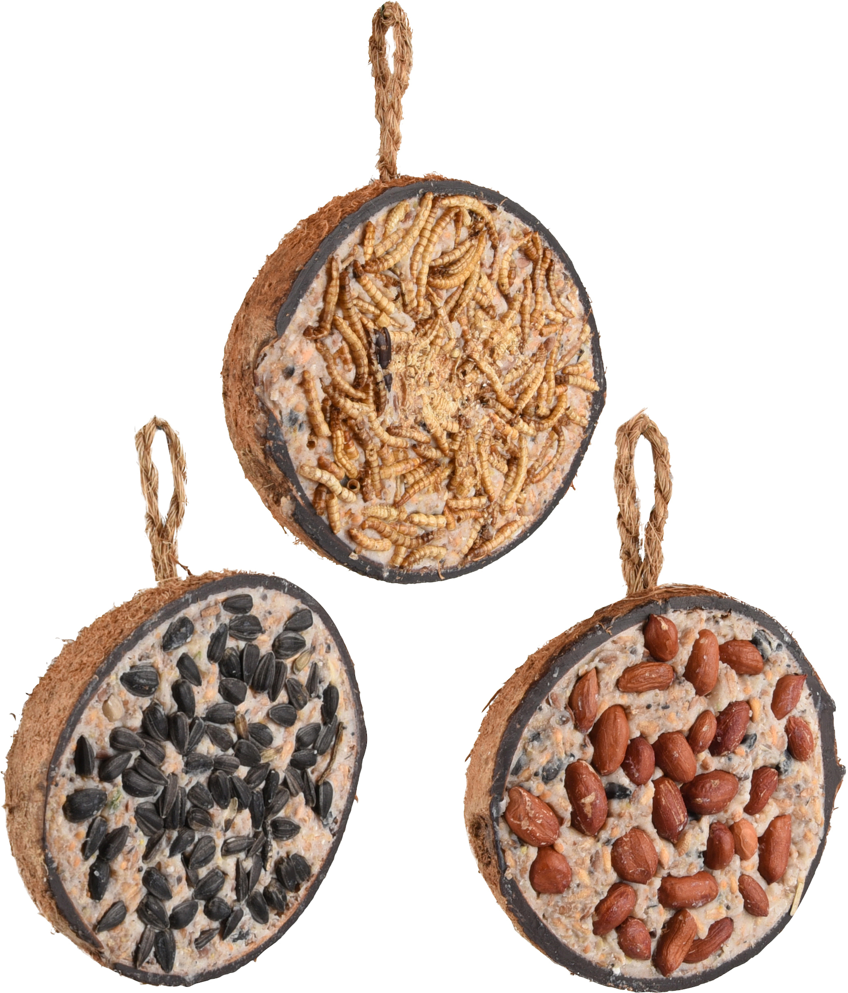 Flamingo Four Seasons  Futterspender halbe Kokosnuss Gefüllt mit Mehlwürmer & mit Nüsse & mit Samen - Vögel die im Freien leben