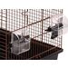 Parakeet cage Freya Copper Black