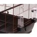 Parakeet cage Macha Copper Black