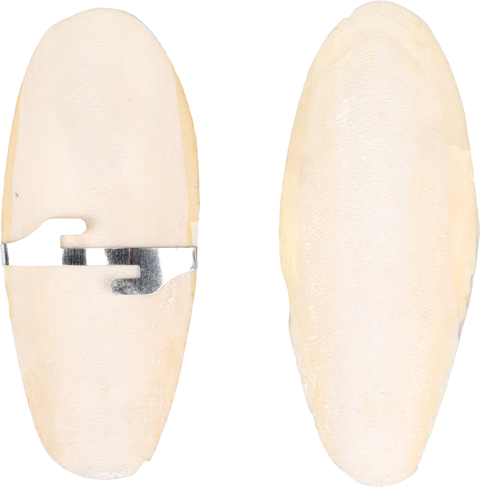 Flamingo Sepia shell Becco White