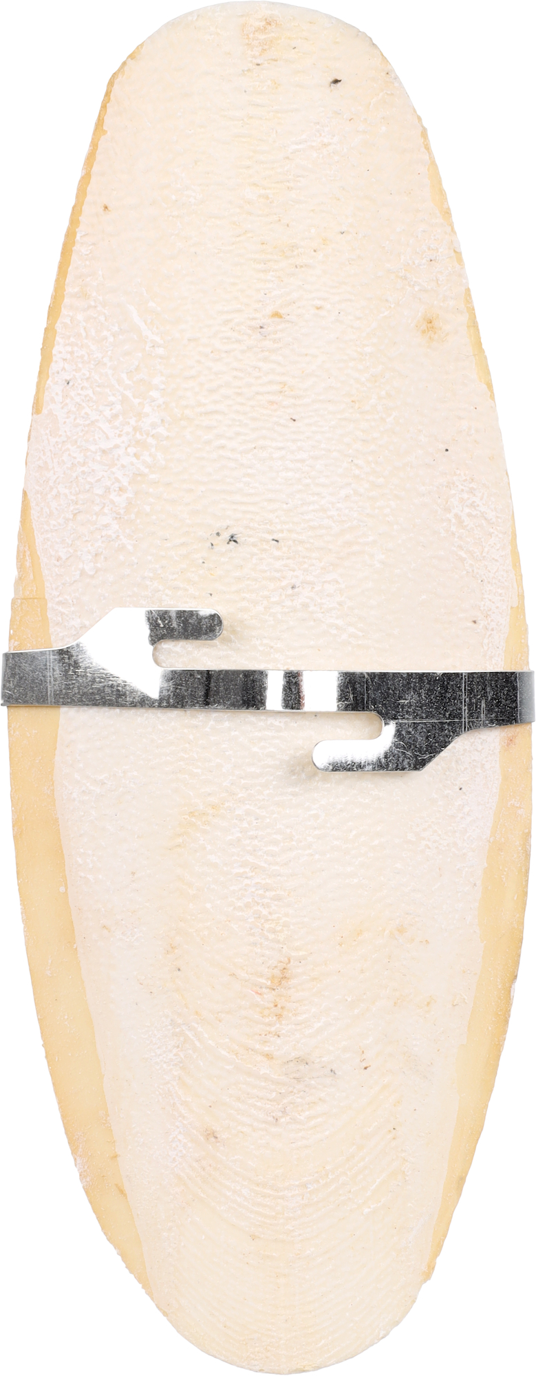 Flamingo Sepia shell Becco White