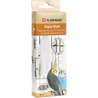 Flamingo Sepia schelp Becco Wit