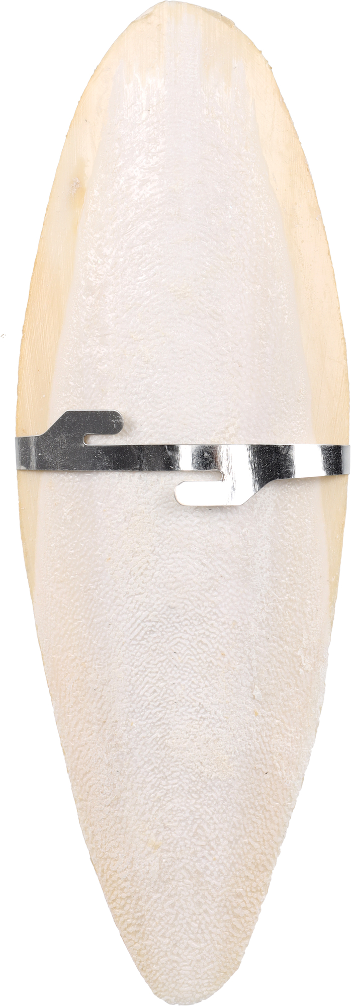 Flamingo Sepia shell Becco White