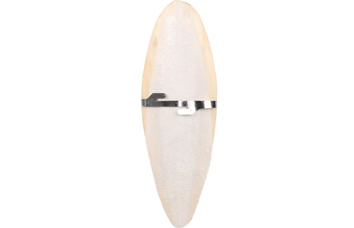 Flamingo Sepia schelp Becco Wit
