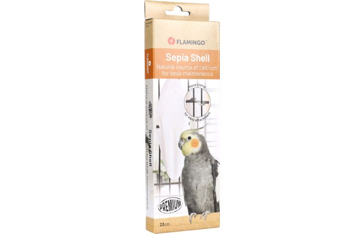 Flamingo Sepia schelp Becco Wit