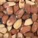 Four Seasons shelled peanuts for outdoor birds 3 kg