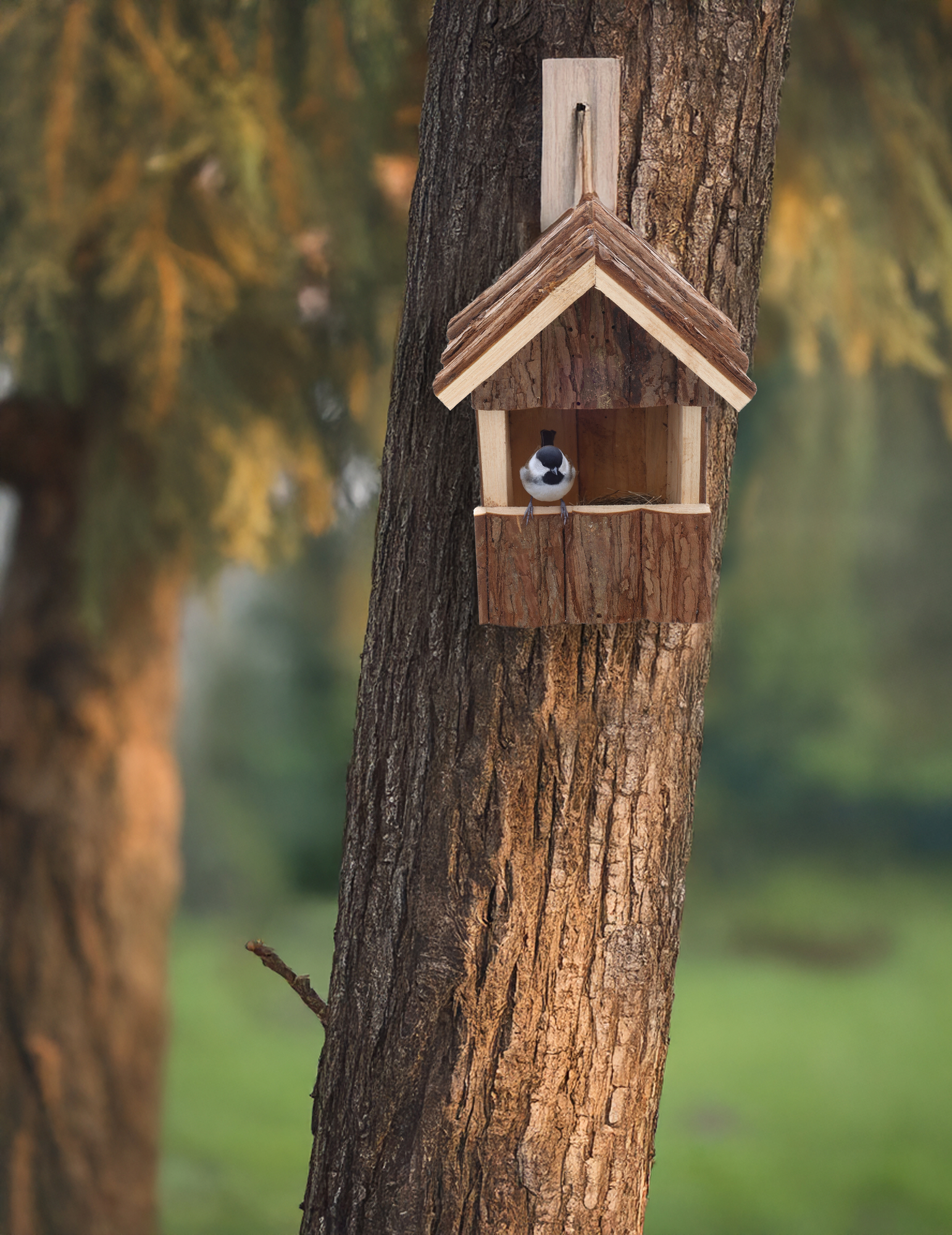 Flamingo Nesting box Gancha - Wood
