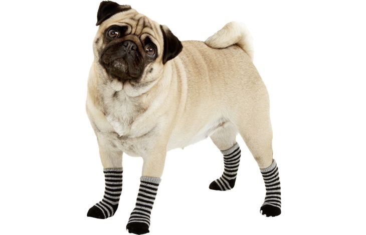 Flamingo Sokken Sockies 4 st Zwart & Grijs