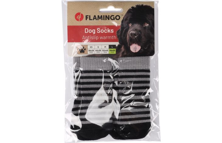 Flamingo Sokken Sockies 4 st Zwart & Grijs