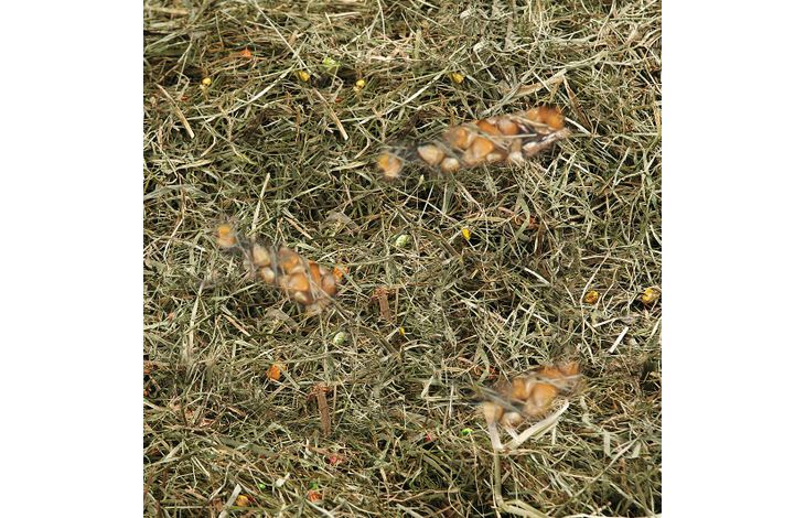 Flamingo Snacks Mountain hay Wheat & Corn 