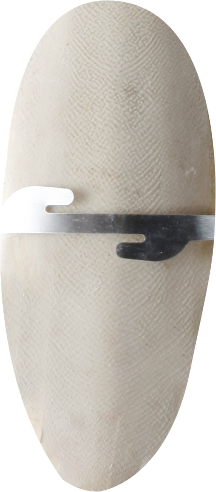 Flamingo Sepia shell Sepia shell 