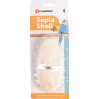 Flamingo Sepia schelp Sepiaschelp 