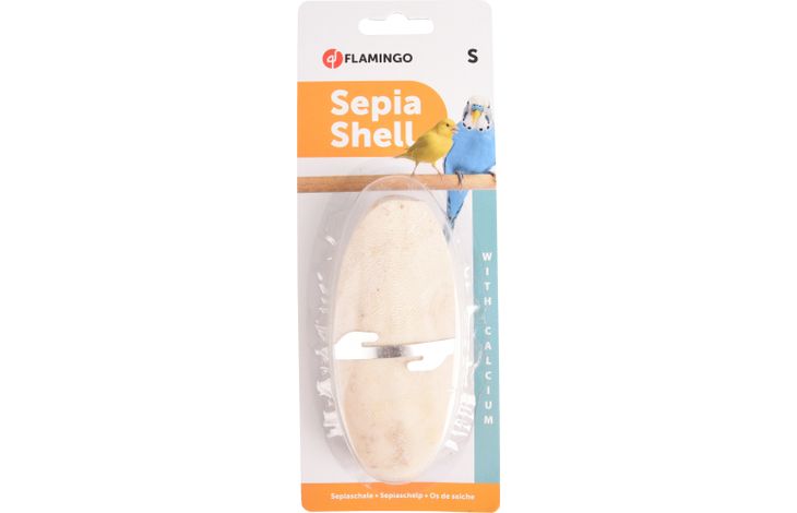 Flamingo Sepia schelp Sepiaschelp 