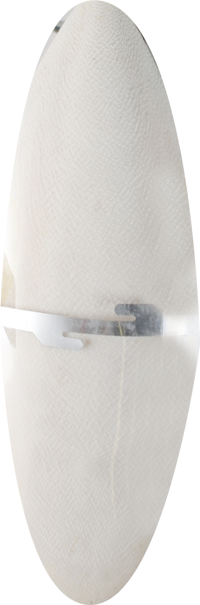 Flamingo Sepia shell Sepia shell 