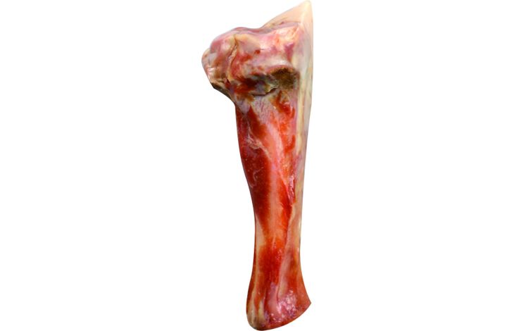 Flamingo Snacks Nature Ham bone Bone