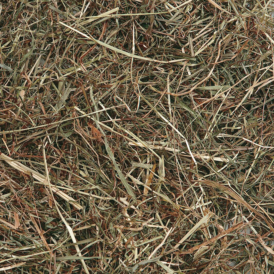 Flamingo Snack Berghooi Munt 