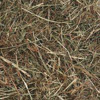 Flamingo Snack Berghooi Munt 