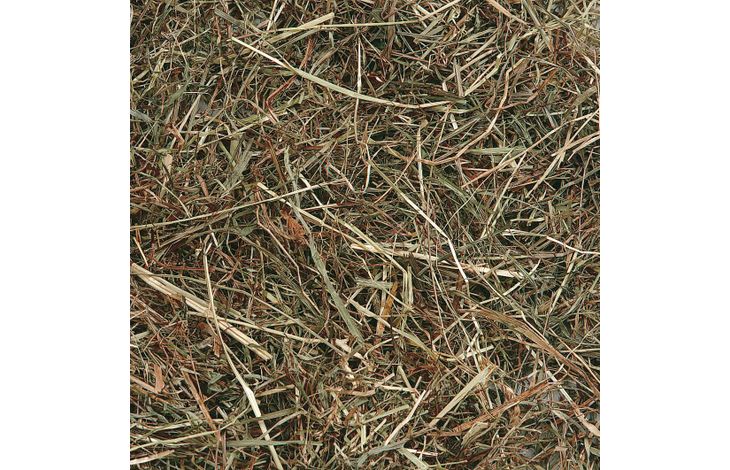 Flamingo Snack Berghooi Munt 