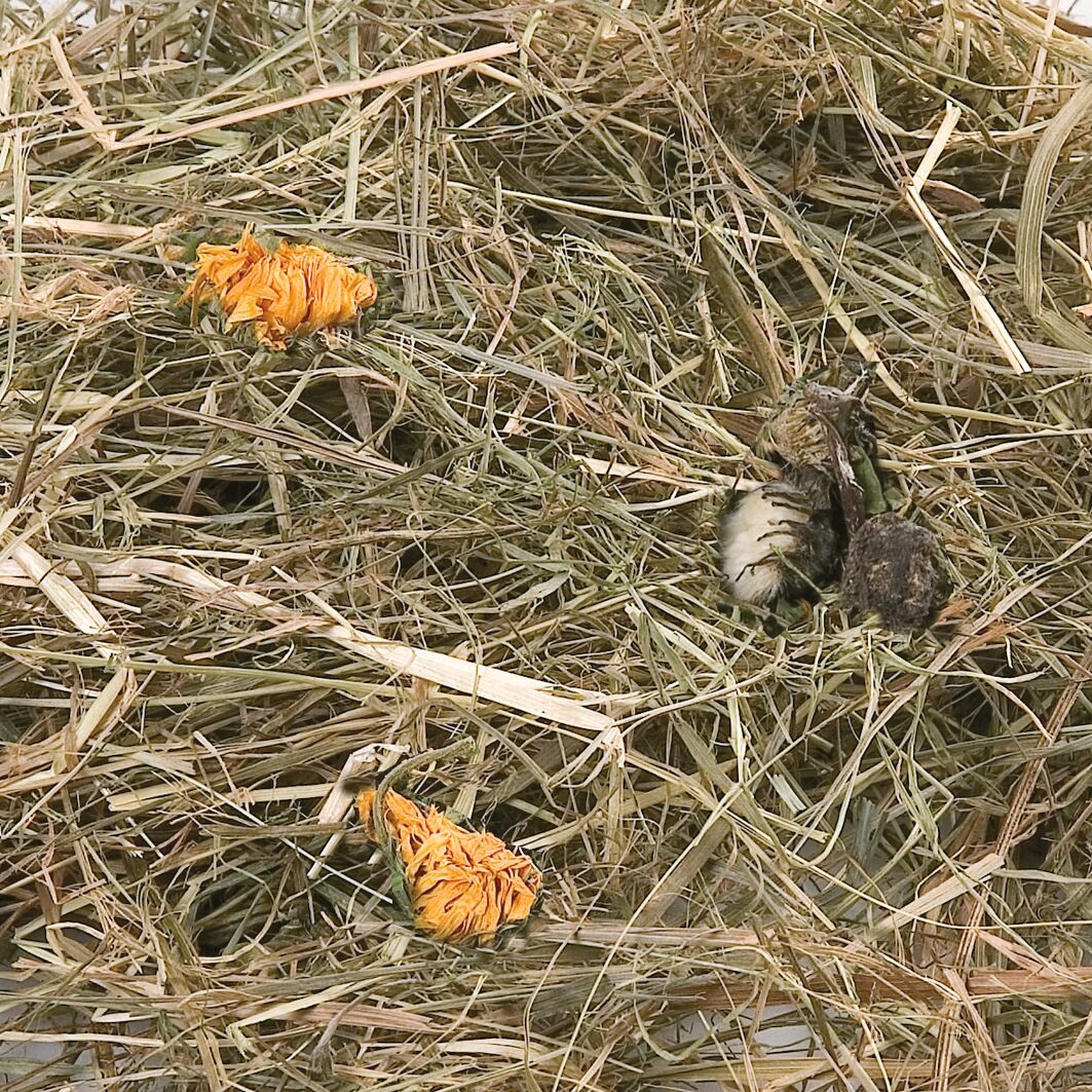 Flamingo Snacks Mountain hay with marigold 