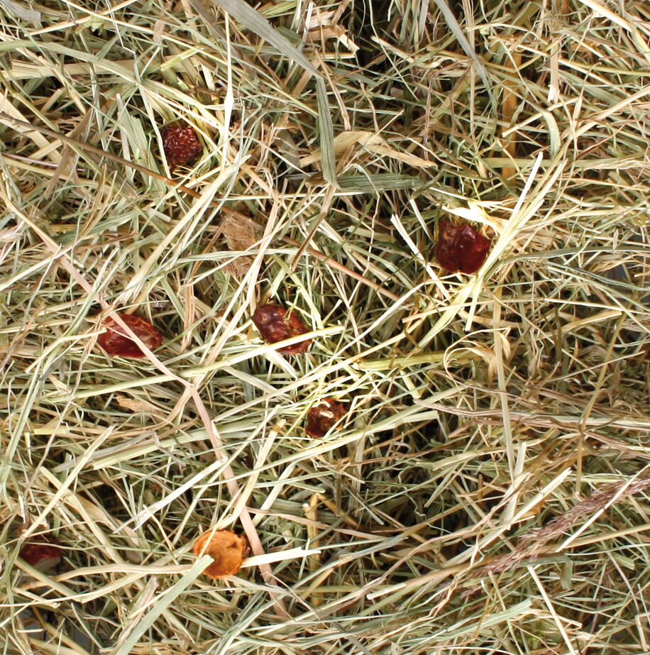 Flamingo Snack Berghooi Rozenbottel 