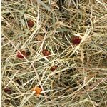 Snacks Mountain hay Rose hip 