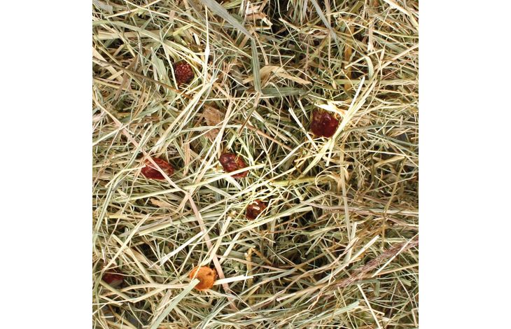 Flamingo Snack Berghooi Rozenbottel 