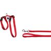 Harness with leash Multiple colours  Red, Black 