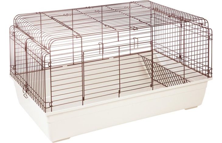 Flamingo Cage Sprinters Black Ivory