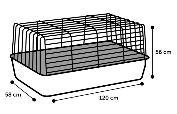 Flamingo Cage Sprinters Black Ivory