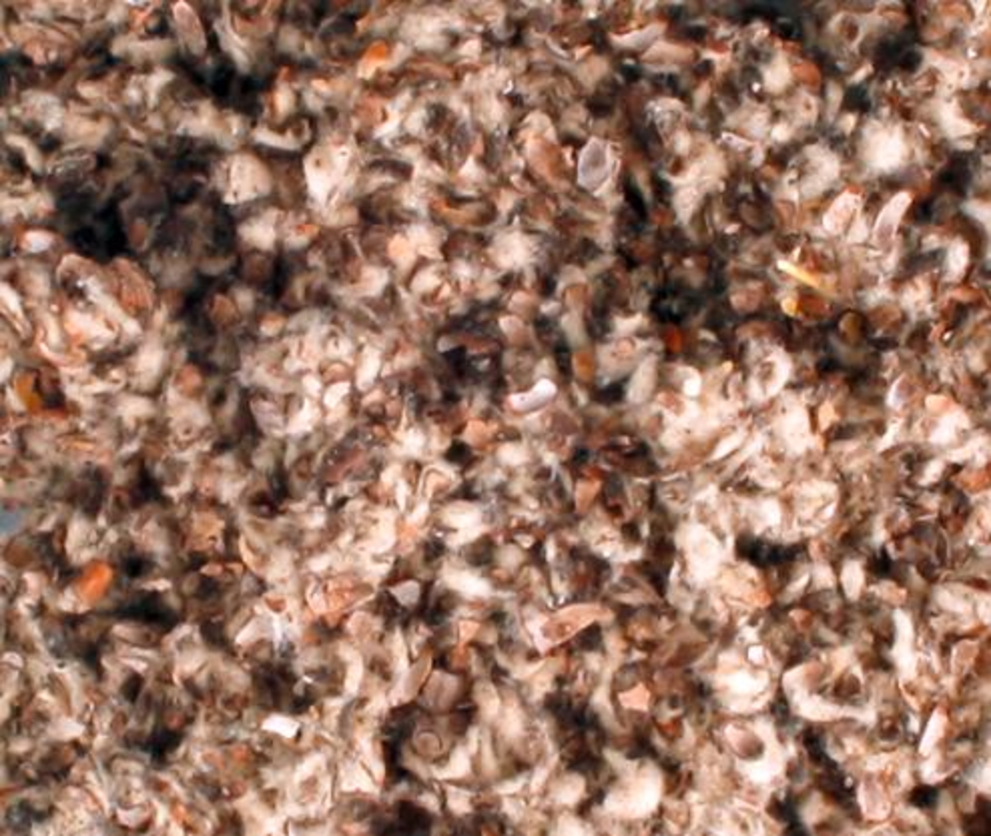 Flamingo Cotton bedding Mix