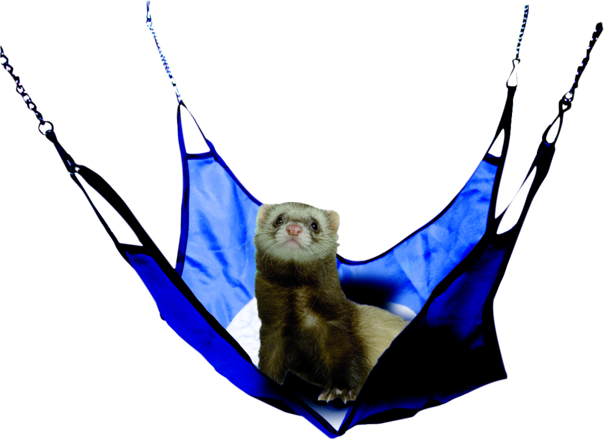 Flamingo Amaca Buck Azzurro