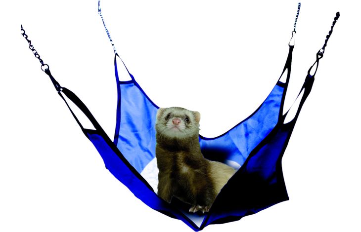 Flamingo Amaca Buck Azzurro