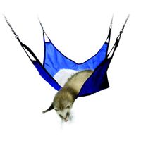 Flamingo Amaca Buck Azzurro