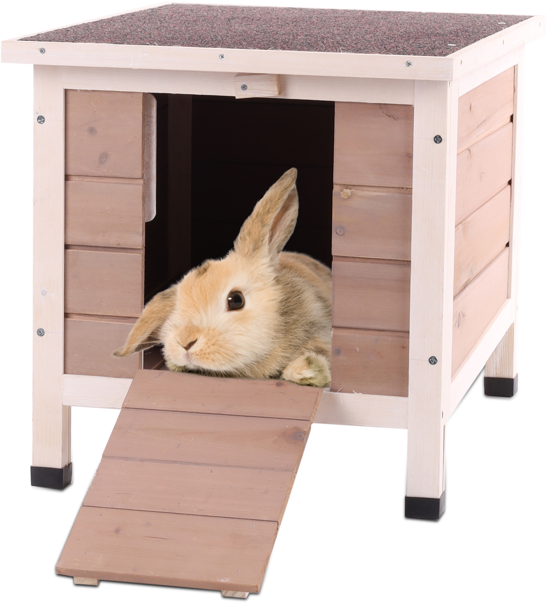 Cosy pet sale rabbit hutch