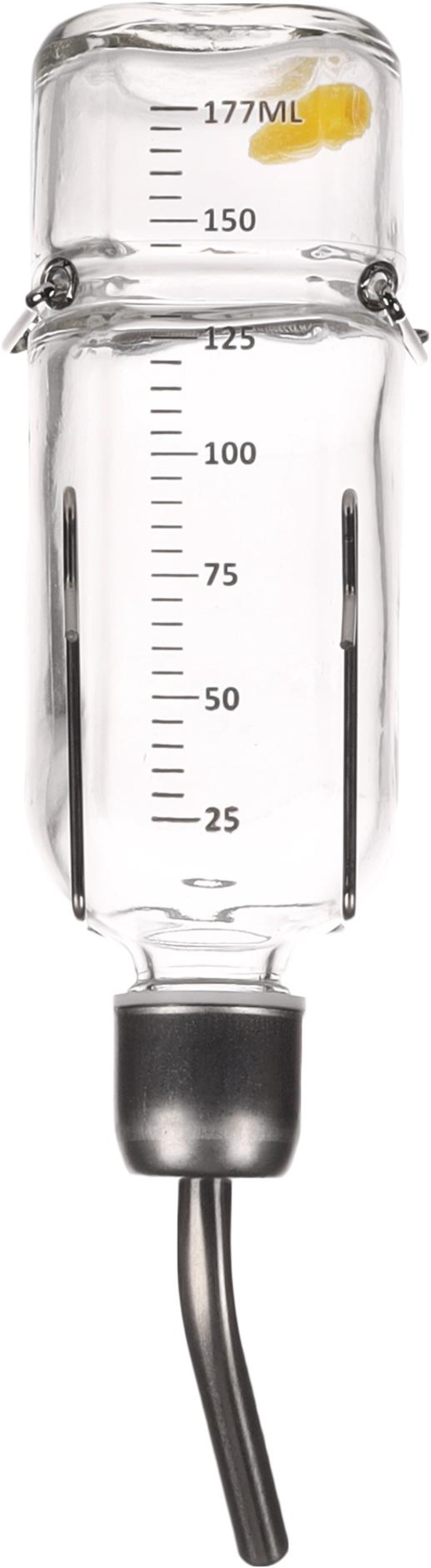 Flamingo Drinking bottle Athina Transparent & Silver