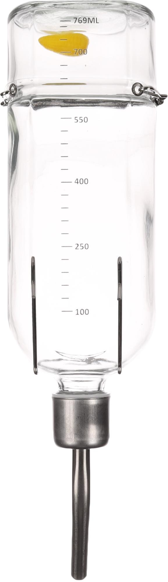 Flamingo Drinking bottle Athina Transparent & Silver