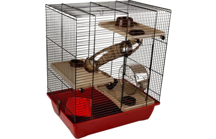 Flamingo Cage Enzo 3 Bordeaux Black