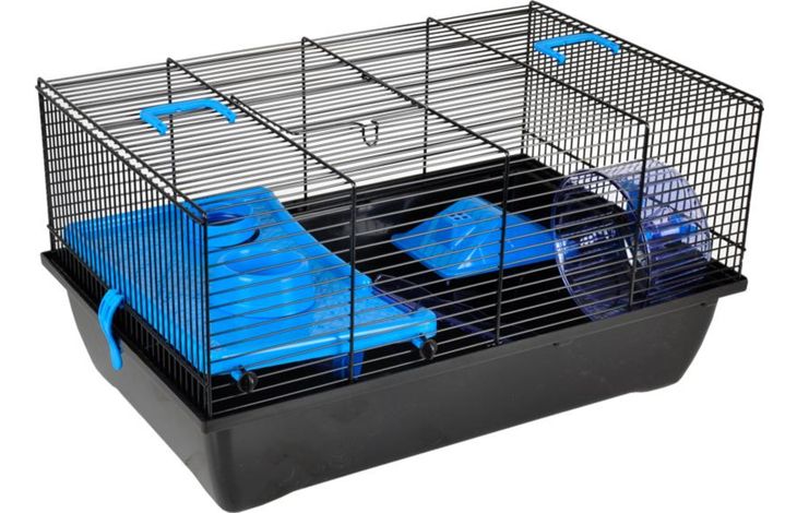 Flamingo Cage Jaro 1 Blue Black