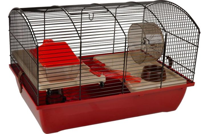 Flamingo Cage Vico 2 Bordeaux Black