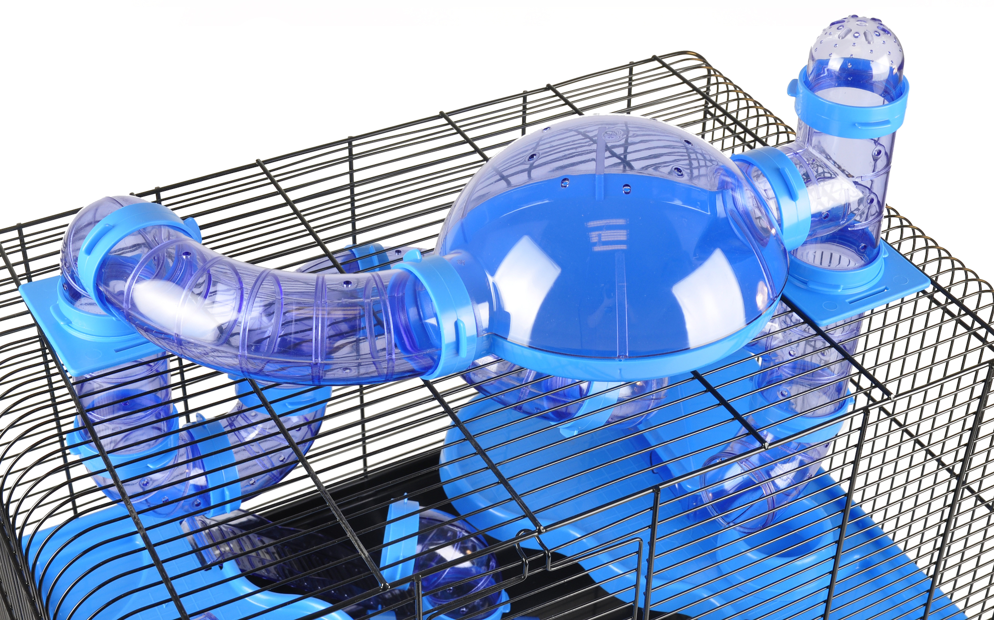 Flamingo Cage Aldo Blue Black