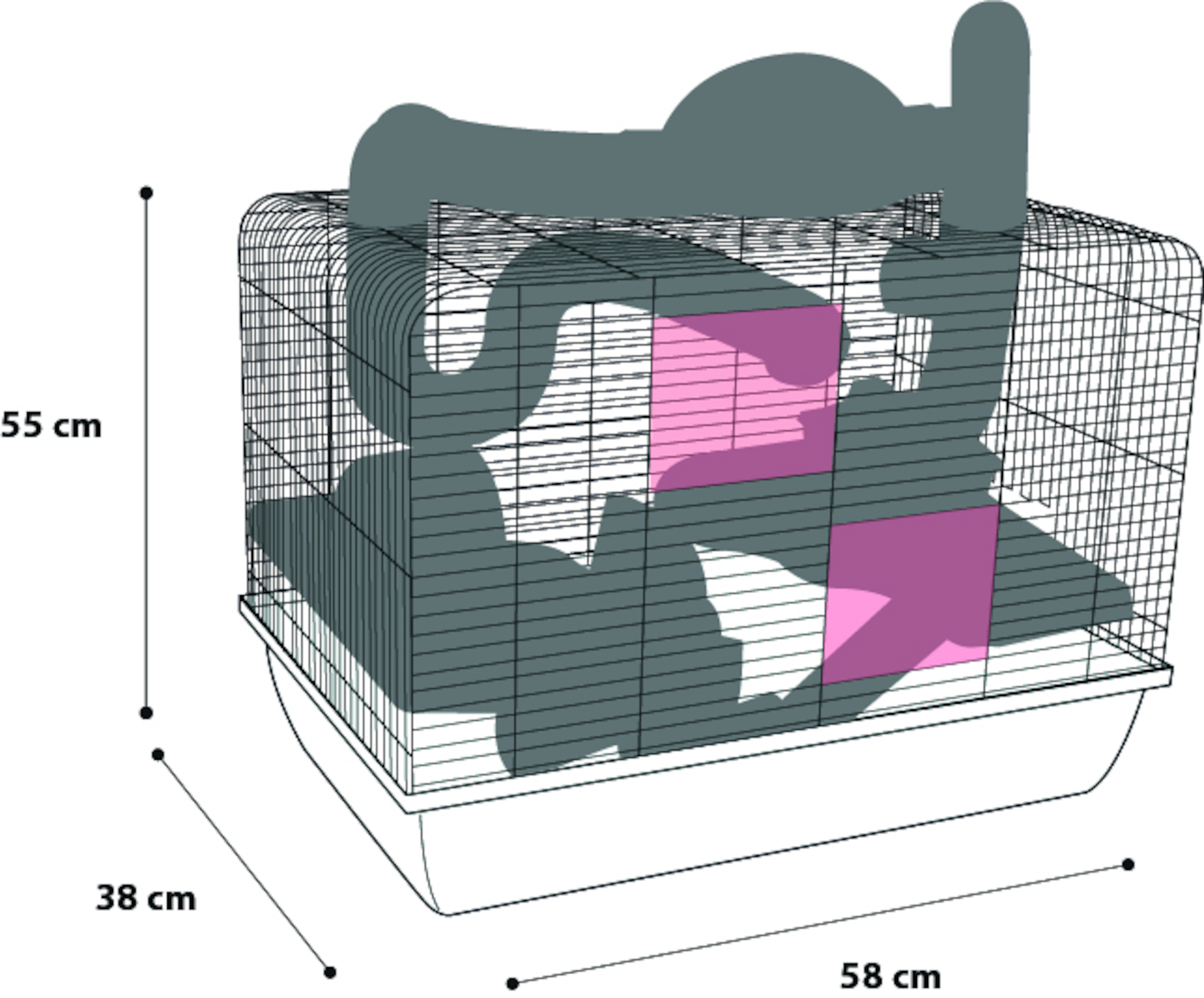 Flamingo Cage Aldo Blue Black