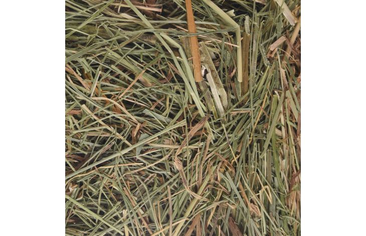 Flamingo Snacks Bergheu Nessel 