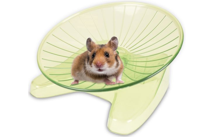 Flamingo Speelgoed Susie Loopschijf Groen