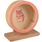 Toy Danco Exercise wheel Light brown