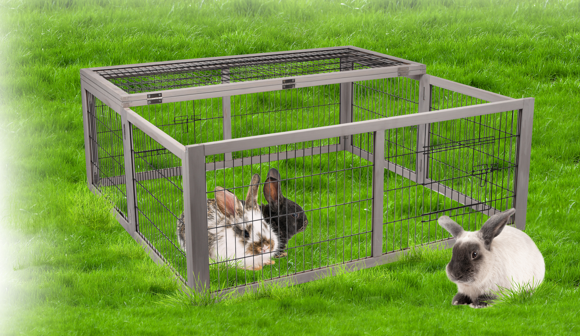 Flamingo Run Cottage Mel White