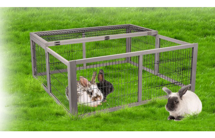 Flamingo Run Cottage Mel White