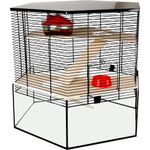 Cage Vitru Natural Red Transparent  Black
