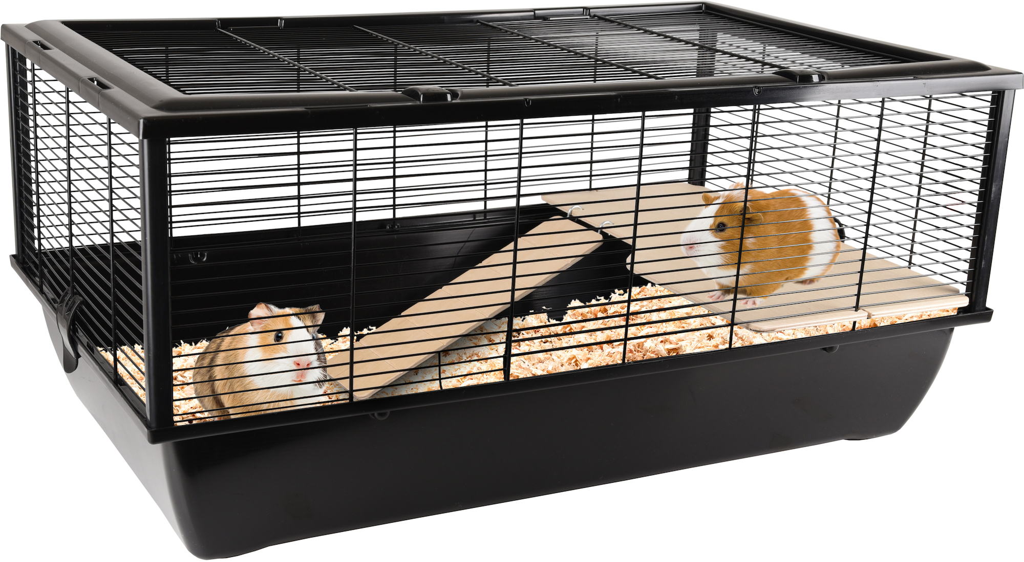 Flamingo Cage Elsa Natural Black