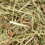 Snacks Premium Meadow hay Carrot 