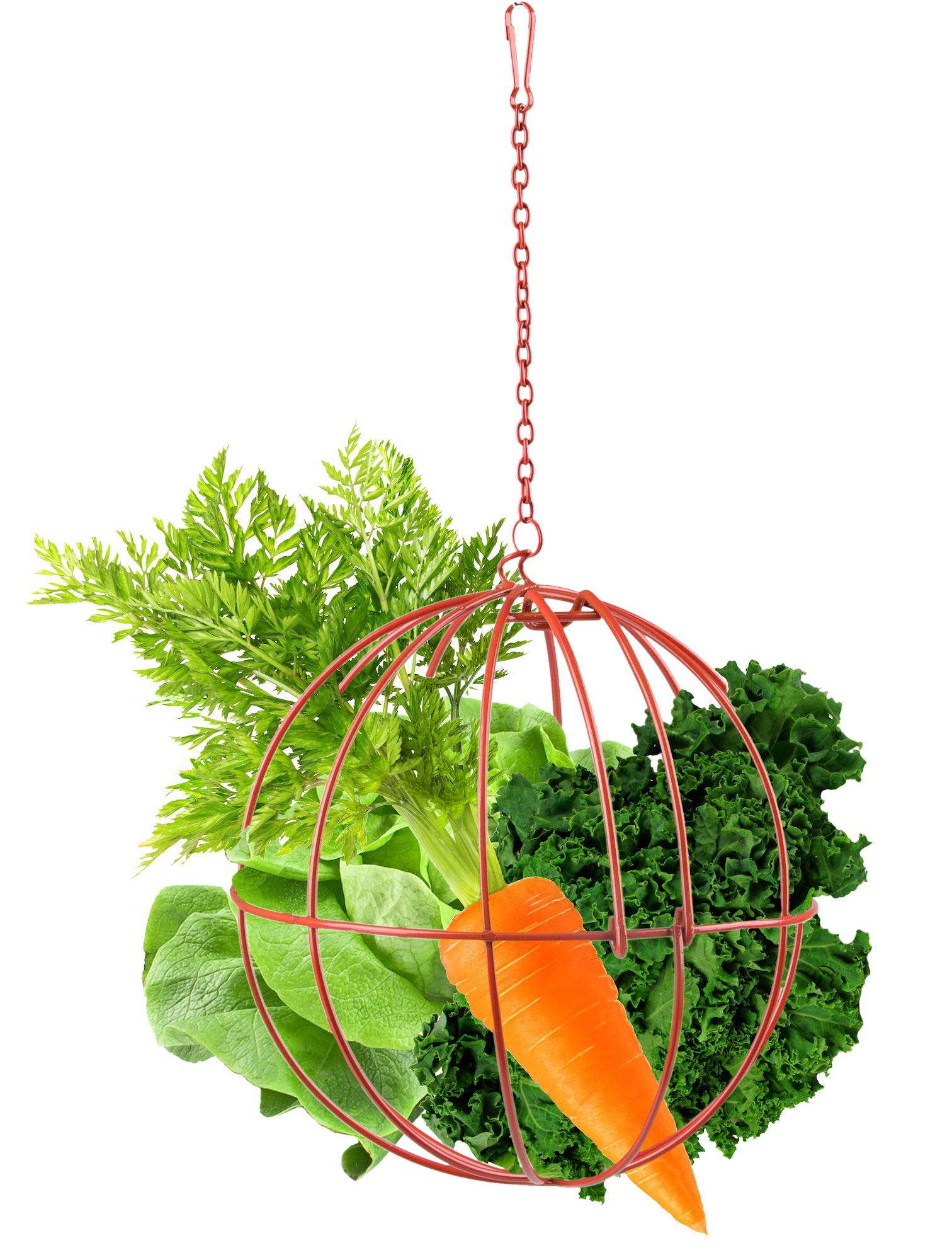 Flamingo Bola para comida Sola Redondo Rojo